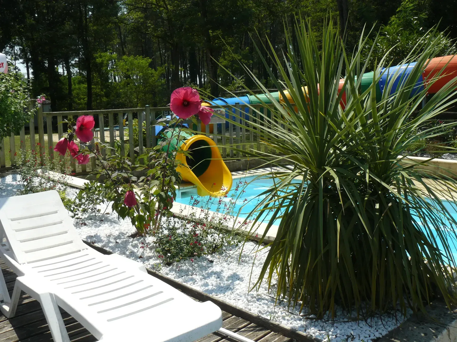 Sortie du toboggan aquatique au bord de la piscine, parmi les fleurs et la végétation