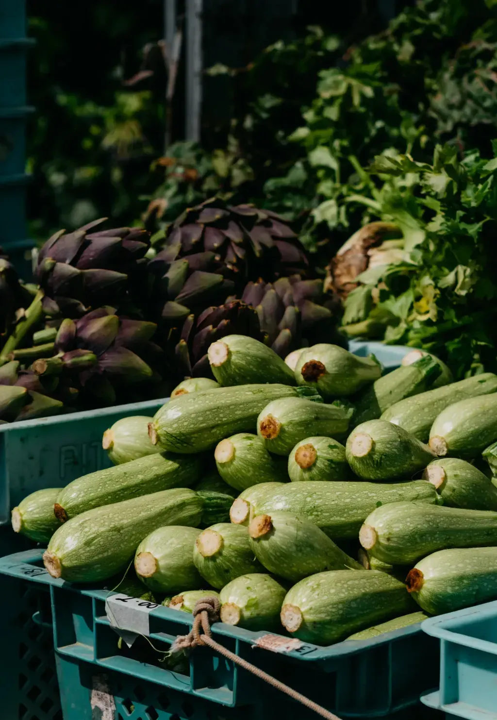 Courgettes et artichauts disposés dans des cagettes sur un étal de marché