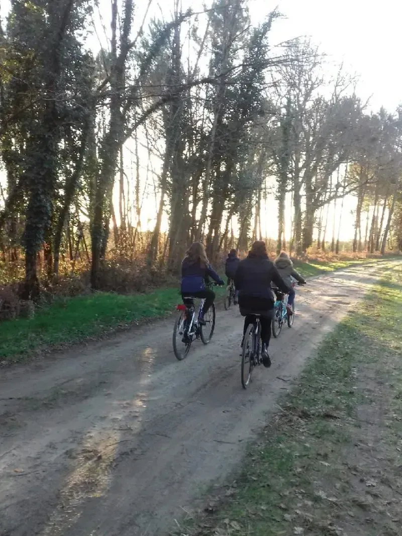 Groupe de cyclistes en balade sur un chemin de terre au milieu d’une forêt